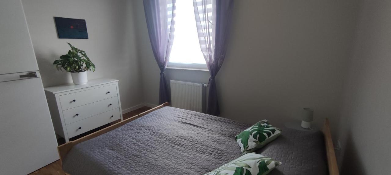 Apartament Zielone Zamienie Eksteriør billede