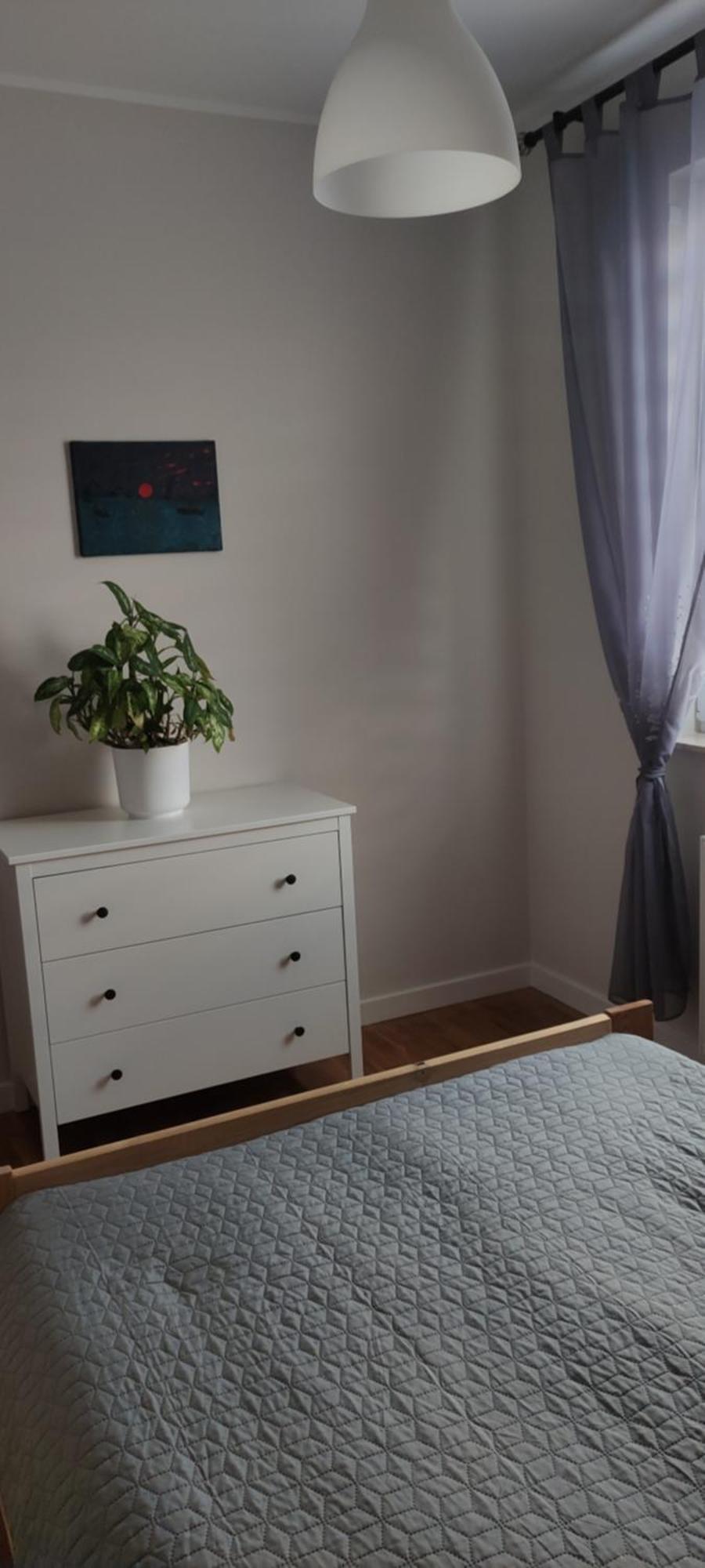 Apartament Zielone Zamienie Eksteriør billede